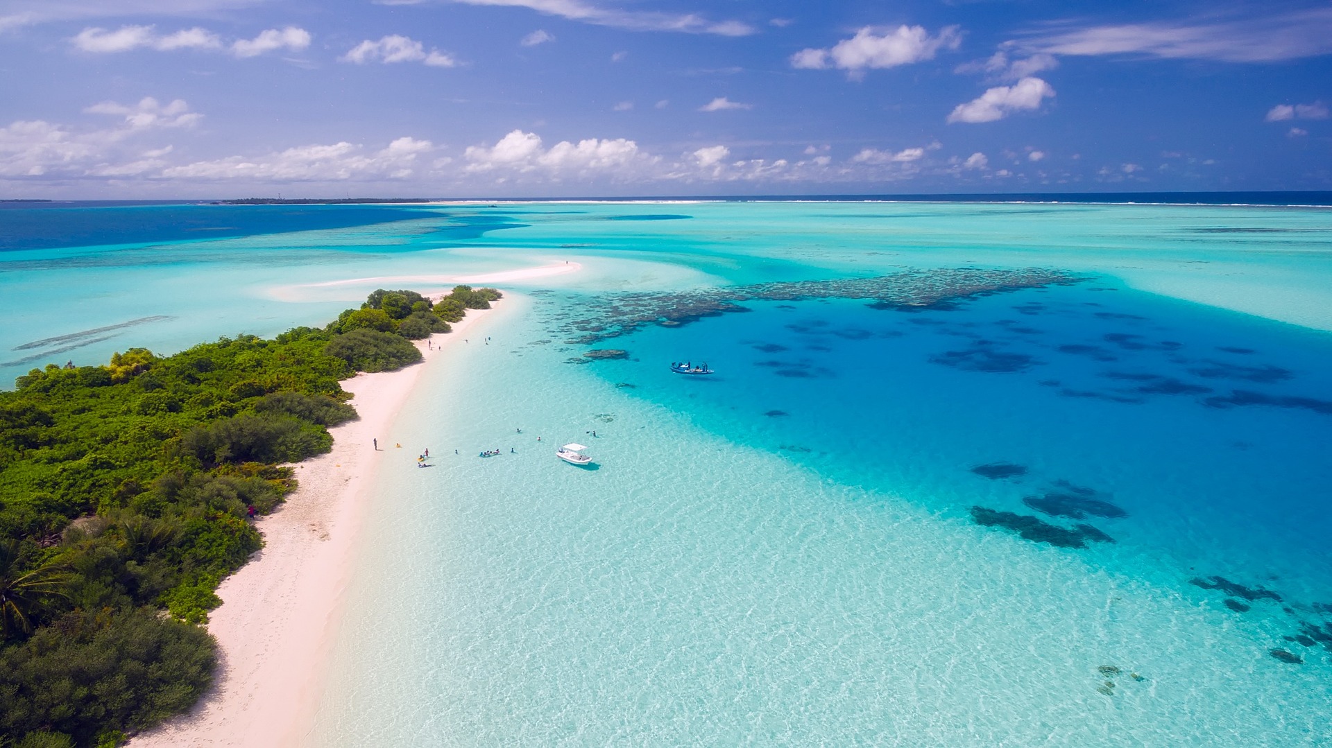 shades of turquoise sea with small tree covered island, sand, blue sky, cumulous white clouds