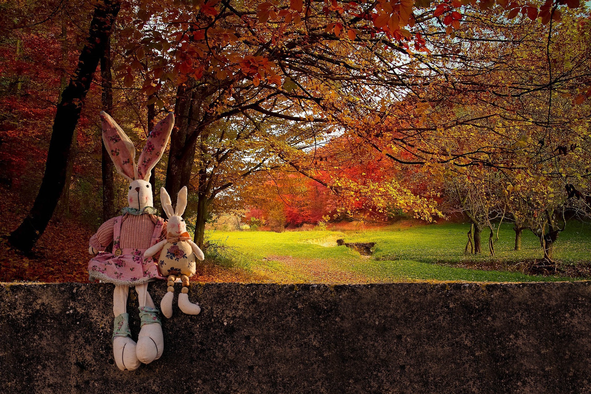 autumn wood with red maple trees, wall with two toy rabbits