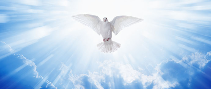 Releasing your Angelite