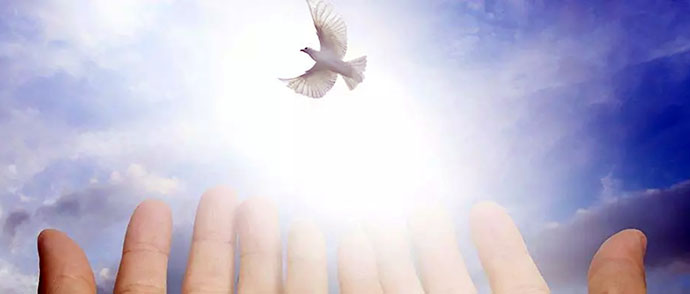 About the Living with Soul School