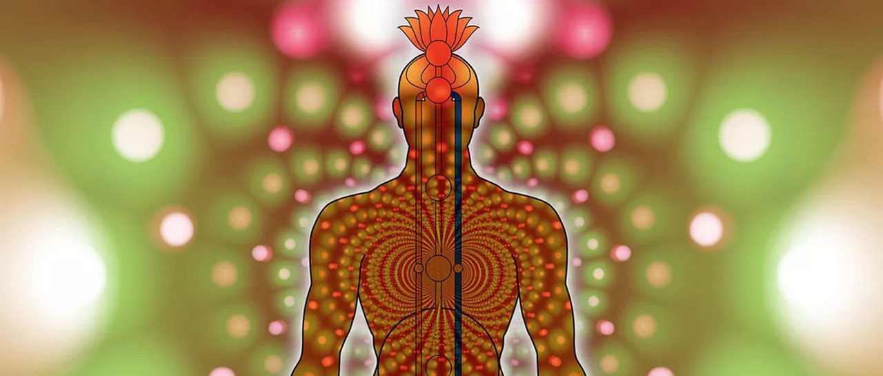 Body's Energy System