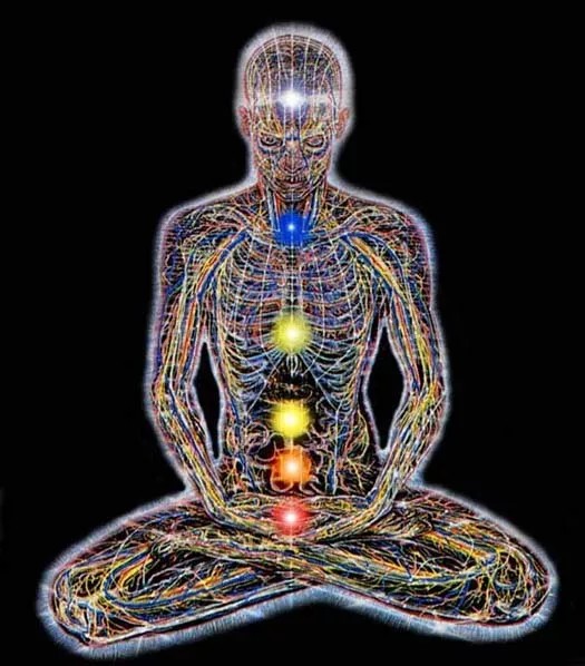 meridians, chakras & aura  overview