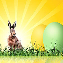 easter egg