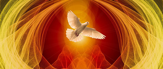 Pentecost Dove