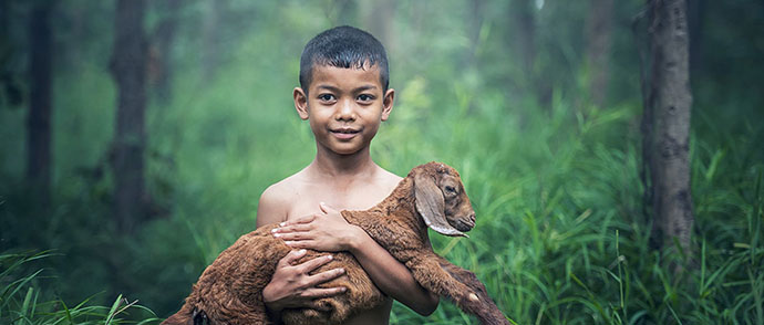 World Animal Day