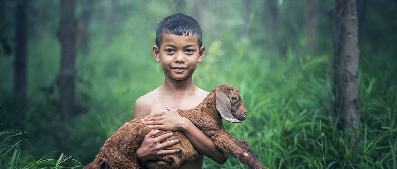 World Animal Day