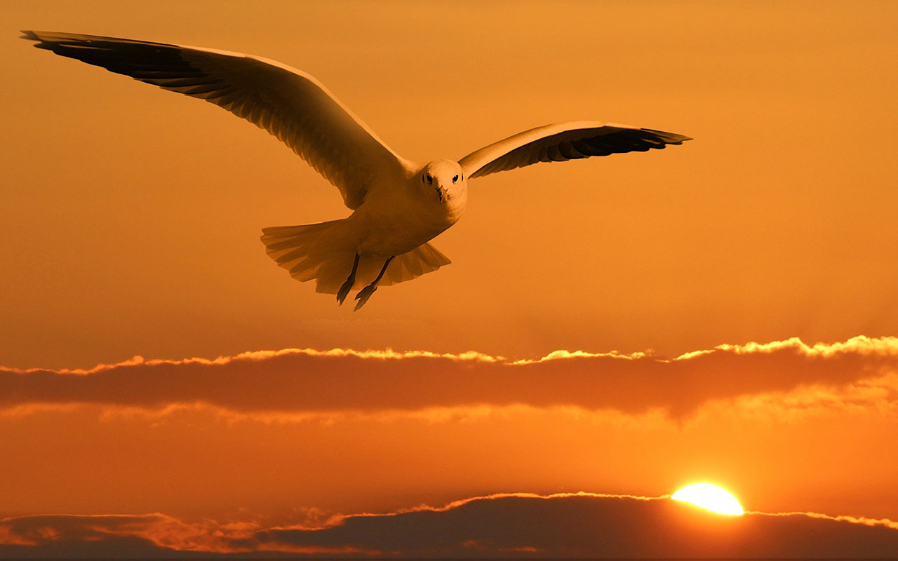 Benefits of Soul Coaching / Spiritual Mentoring