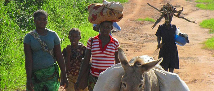 International Day of Rural Women