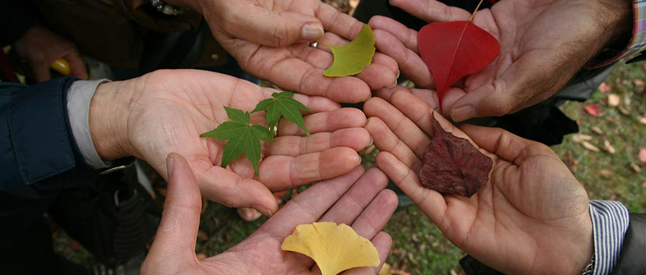 International Day of Tolerance