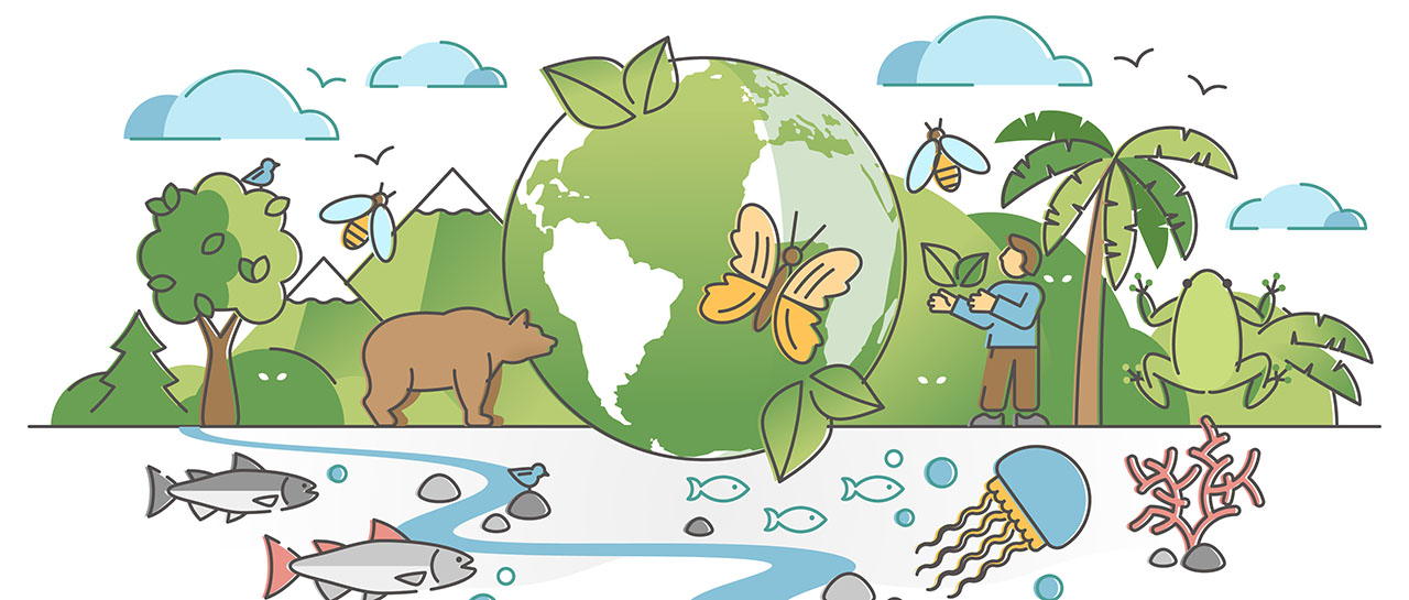 International Day of Bio Diversity