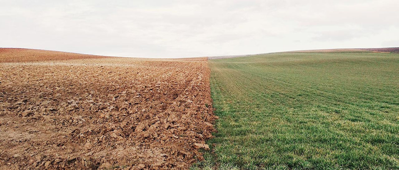 World Soil Day - Farmland