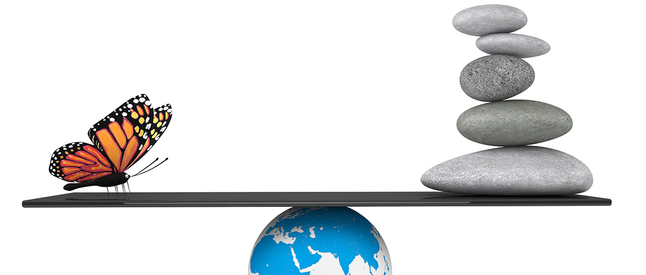 Creating Balance & Harmony Course
